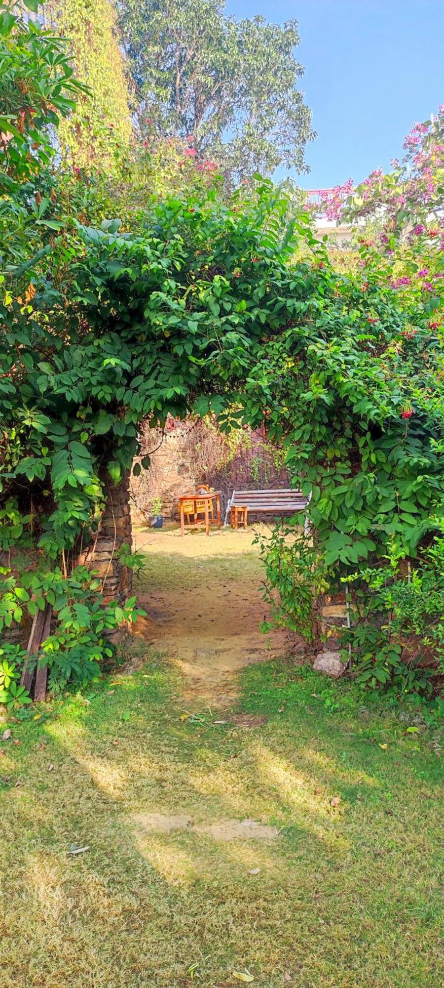 Bed and Breakfast The Secret Garden à Pushkar Extérieur photo