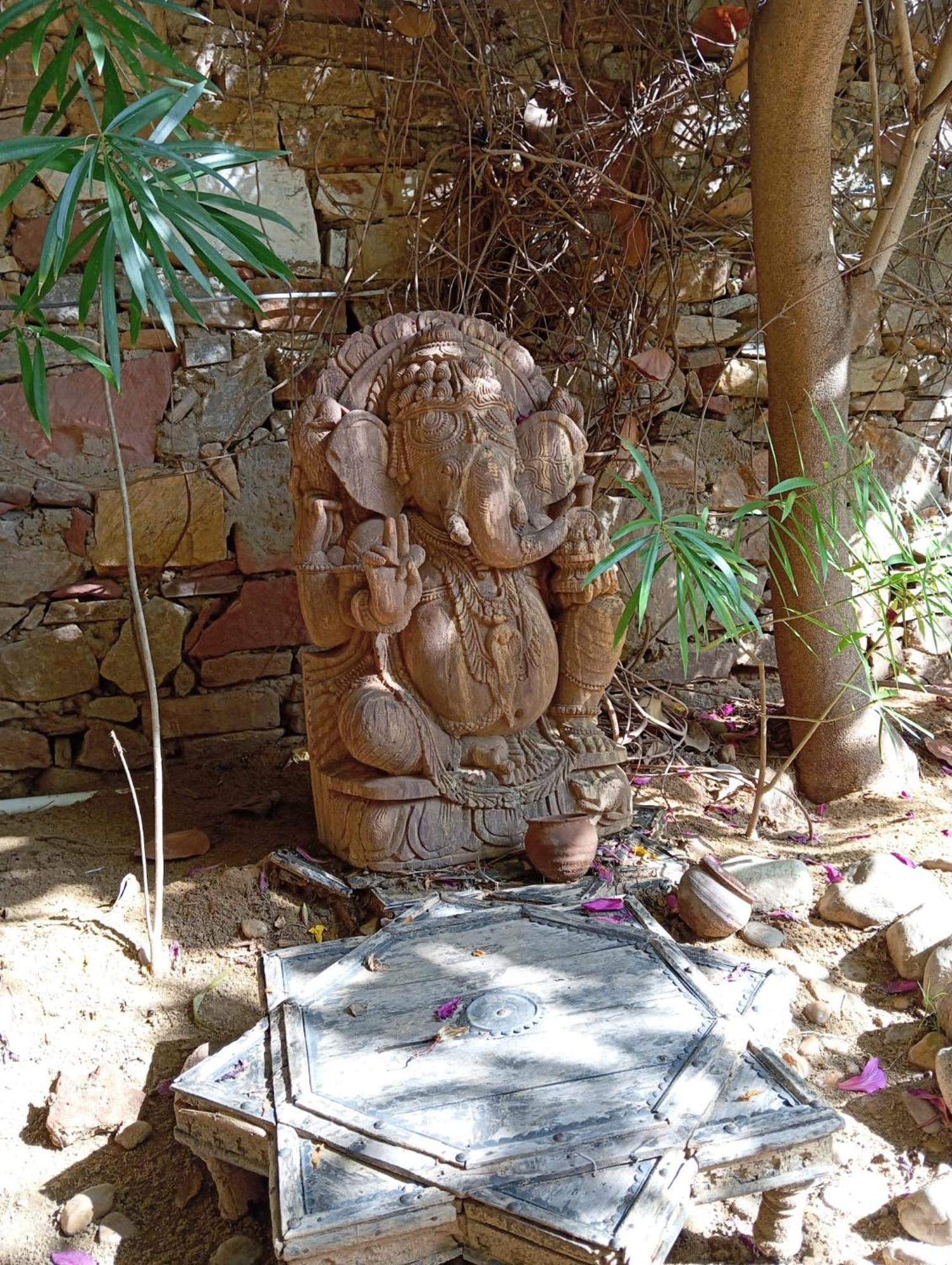 Bed and Breakfast The Secret Garden à Pushkar Extérieur photo
