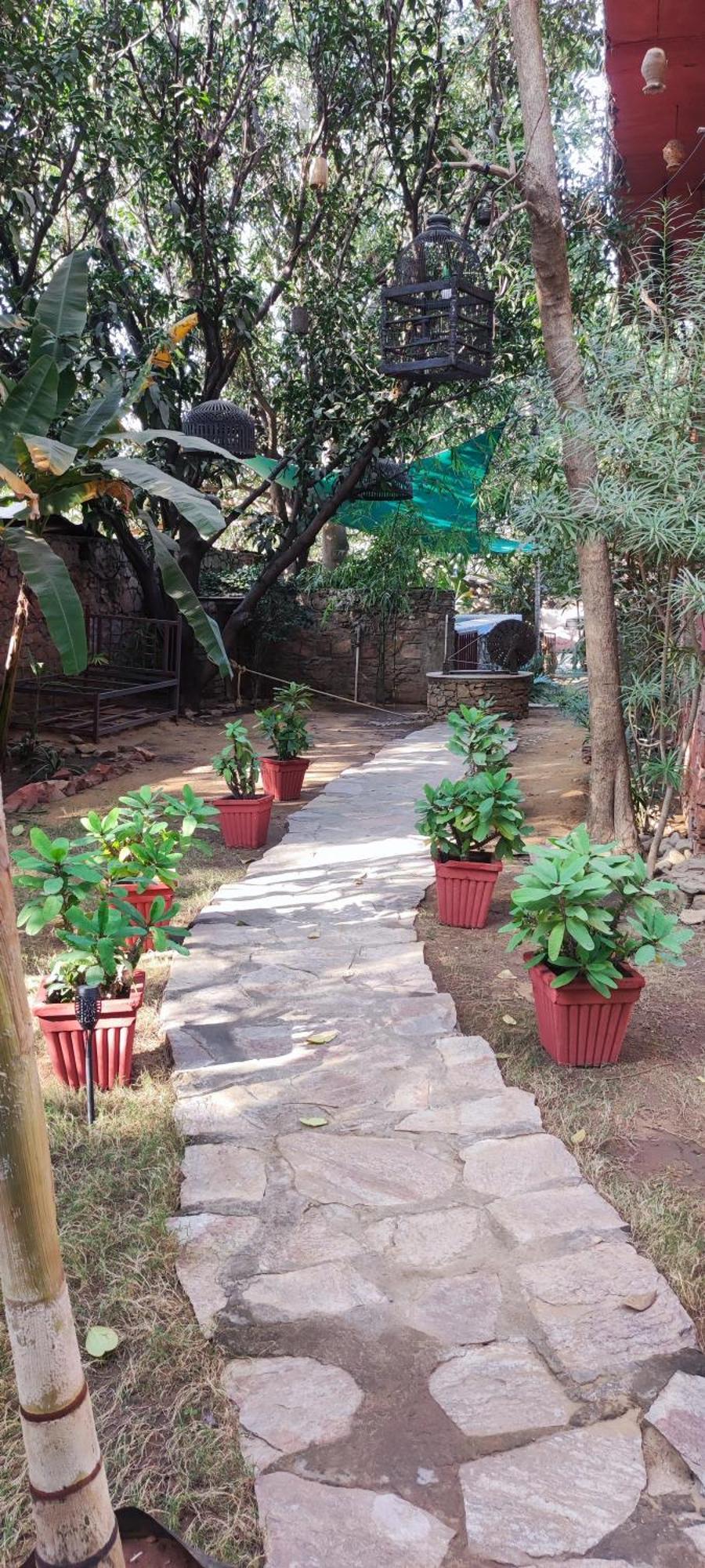 Bed and Breakfast The Secret Garden à Pushkar Extérieur photo
